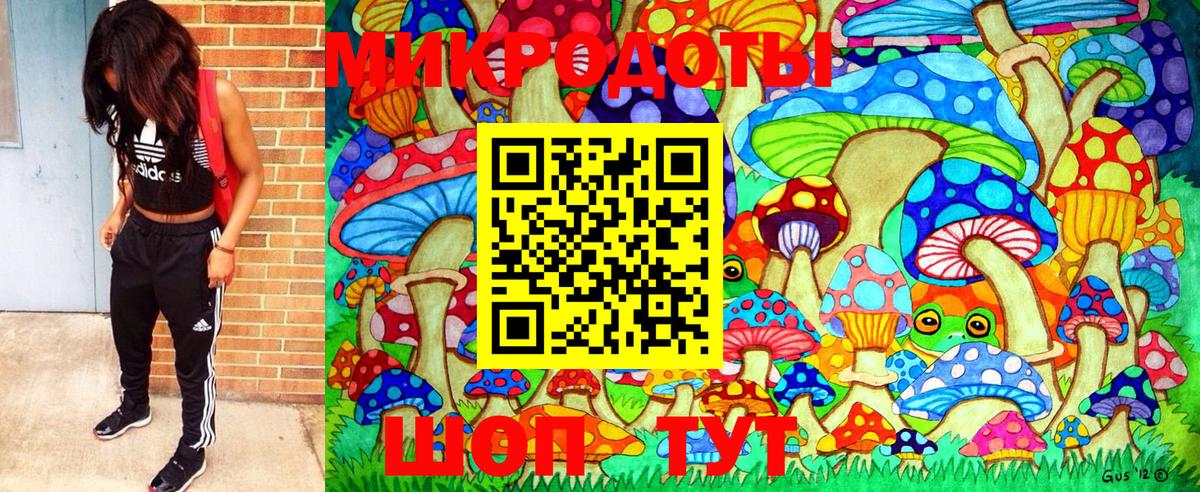 Псилоцибиновые грибы GOLDEN TEACHER Вязьма