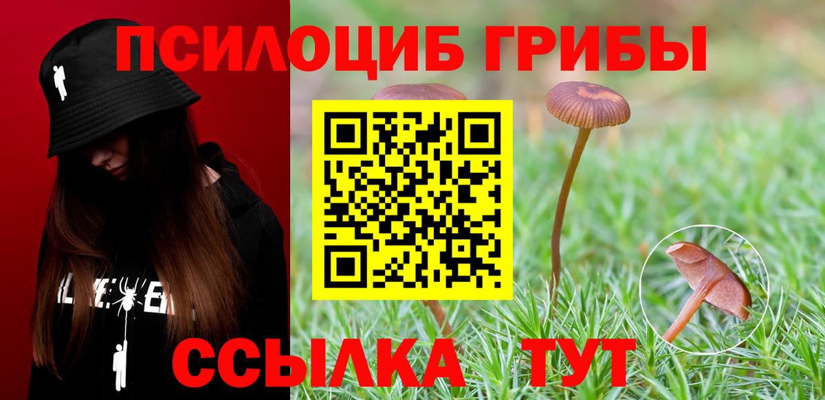 Галлюциногенные грибы MAGIC MUSHROOMS  Вход с VPN  Псилоцибиновые грибы MAGIC MUSHROOMS  Вязьма 